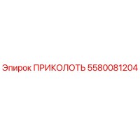 5580081204 ПРИКОЛОТЬ Epiroc