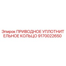 9170022650 ПРИВОДНОЕ УПЛОТНИТЕЛЬНОЕ КОЛЬЦО Epiroc