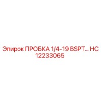 HC12233065 ПРОБКА 1/4-19 BSPT Epiroc