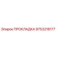 9753218177 ПРОКЛАДКА Epiroc