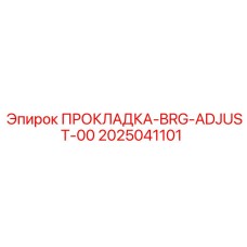 2025041101 ПРОКЛАДКА-BRG-ADJUST-00 Epiroc