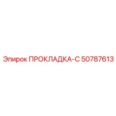 50787613 ПРОКЛАДКА-С Epiroc