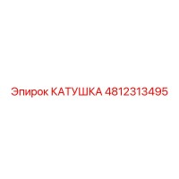 4812313495 КАТУШКА Epiroc