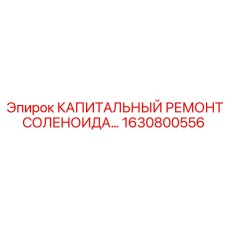 1630800556 КАПИТАЛЬНЫЙ РЕМОНТ СОЛЕНОИДА Epiroc