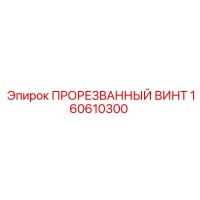 160610300 ПРОРЕЗВАННЫЙ ВИНТ Epiroc