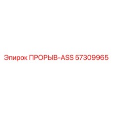 57309965 ПРОРЫВ-ASS Epiroc