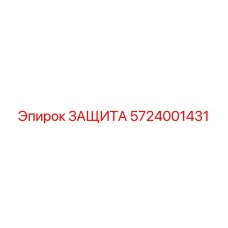 5724001431 ЗАЩИТА Epiroc