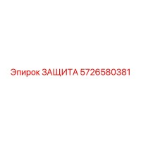 5726580381 ЗАЩИТА Epiroc