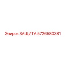 5726580381 ЗАЩИТА Epiroc