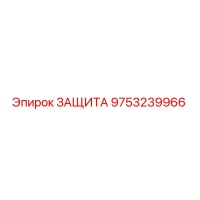 9753239966 ЗАЩИТА Epiroc