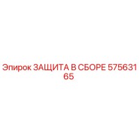 57563165 ЗАЩИТА В СБОРЕ Epiroc