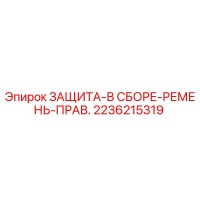 2236215319 ЗАЩИТА-В СБОРЕ-РЕМЕНЬ-ПРАВ. Epiroc