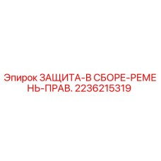 2236215319 ЗАЩИТА-В СБОРЕ-РЕМЕНЬ-ПРАВ. Epiroc