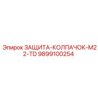 9899100254 ЗАЩИТА-КОЛПАЧОК-M22-TD Epiroc