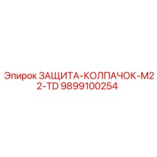 9899100254 ЗАЩИТА-КОЛПАЧОК-M22-TD Epiroc