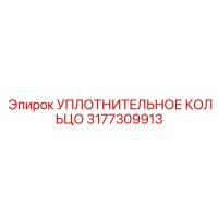 3177309913 УПЛОТНИТЕЛЬНОЕ КОЛЬЦО Epiroc