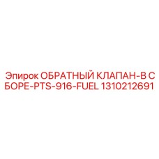 Топливная клапанная сборка 1310212691 для систем PTS-916