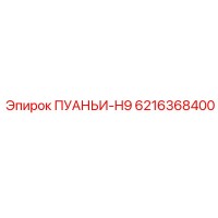 6216368400 ПУАНЬИ-H9 Epiroc
