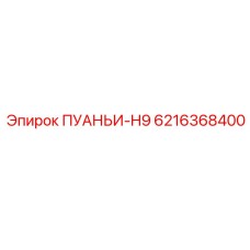 6216368400 ПУАНЬИ-H9 Epiroc