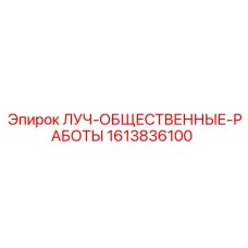 1613836100 ЛУЧ-ОБЩЕСТВЕННЫЕ-РАБОТЫ Epiroc