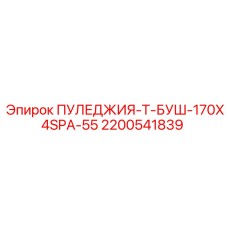 2200541839 ПУЛЕДЖИЯ-Т-БУШ-170X4SPA-55 Epiroc