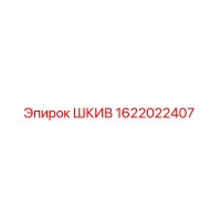1622022407 ШКИВ Epiroc