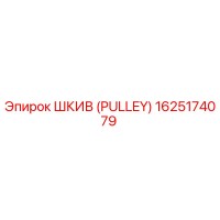 1625174079 ШКИВ (PULLEY) Epiroc