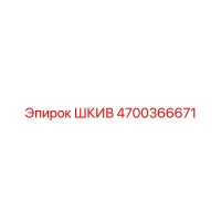 4700366671 ШКИВ Эпирок
