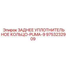9753232909 ЗАДНЕЕ УПЛОТНИТЕЛЬНОЕ КОЛЬЦО-PUMA-9 Epiroc