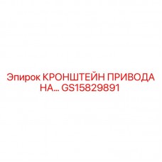 GS15829891 КРОНШТЕЙН ПРИВОДА НАСОСА Epiroc