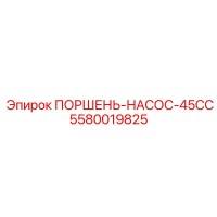 5580019825 ПОРШЕНЬ-НАСОС-45CC Epiroc