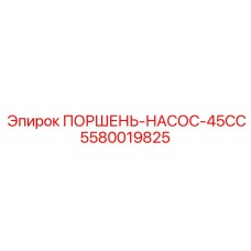 5580019825 ПОРШЕНЬ-НАСОС-45CC Epiroc