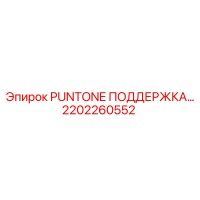 2202260552 PUNTONE ПОДДЕРЖКА Epiroc