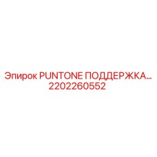 2202260552 PUNTONE ПОДДЕРЖКА Epiroc