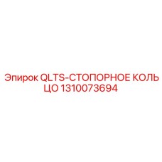 1310073694 QLTS-СТОПОРНОЕ КОЛЬЦО Epiroc