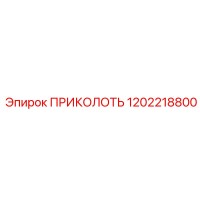 1202218800 ПРИКОЛОТЬ Epiroc