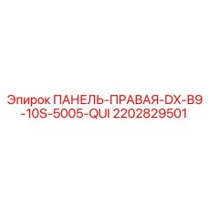 2202829501 ПАНЕЛЬ-ПРАВАЯ-DX-B9-10S-5005-QUI Epiroc