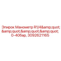 3092621165 Манометр R1/4