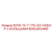 8092403485 R219-12-7-175-G2-НАБОР С КОЛЬЦАМИ Epiroc