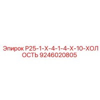 9246020805 Р25-1-Х-4-1-4-Х-10-ХОЛОСТЬ Epiroc