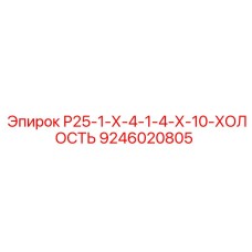 9246020805 Р25-1-Х-4-1-4-Х-10-ХОЛОСТЬ Epiroc