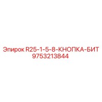 9753213844 R25-1-5-8-КНОПКА-БИТ Epiroc