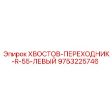 9753225746 ХВОСТОВ-ПЕРЕХОДНИК-R-55-ЛЕВЫЙ Epiroc