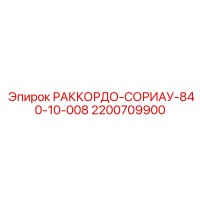2200709900 РАККОРДО-СОРИАУ-840-10-008 Epiroc