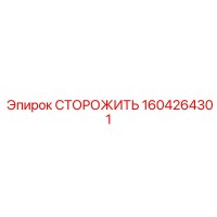 1604264301 СТОРОЖИТЬ Epiroc