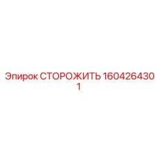 1604264301 СТОРОЖИТЬ Epiroc
