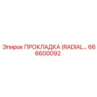 666600092 ПРОКЛАДКА (RADIAL) Epiroc