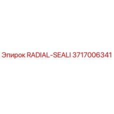 3717006341 RADIAL-SEALI Epiroc
