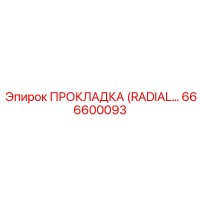 666600093 ПРОКЛАДКА (RADIAL) Epiroc