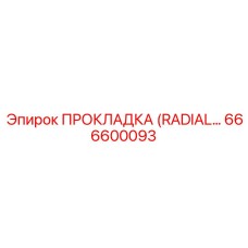 666600093 ПРОКЛАДКА (RADIAL) Epiroc